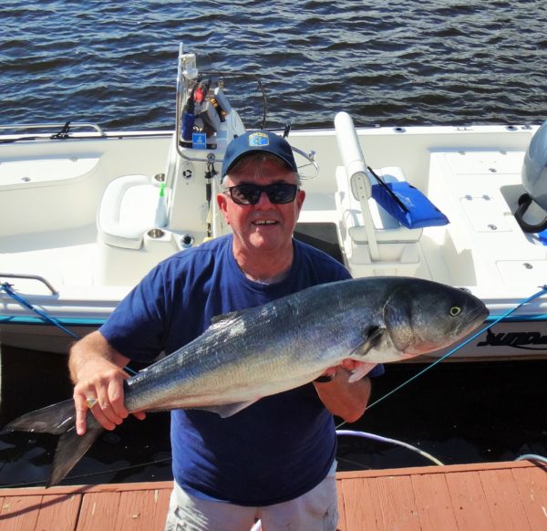 They’re Back! by Dave Spendiff