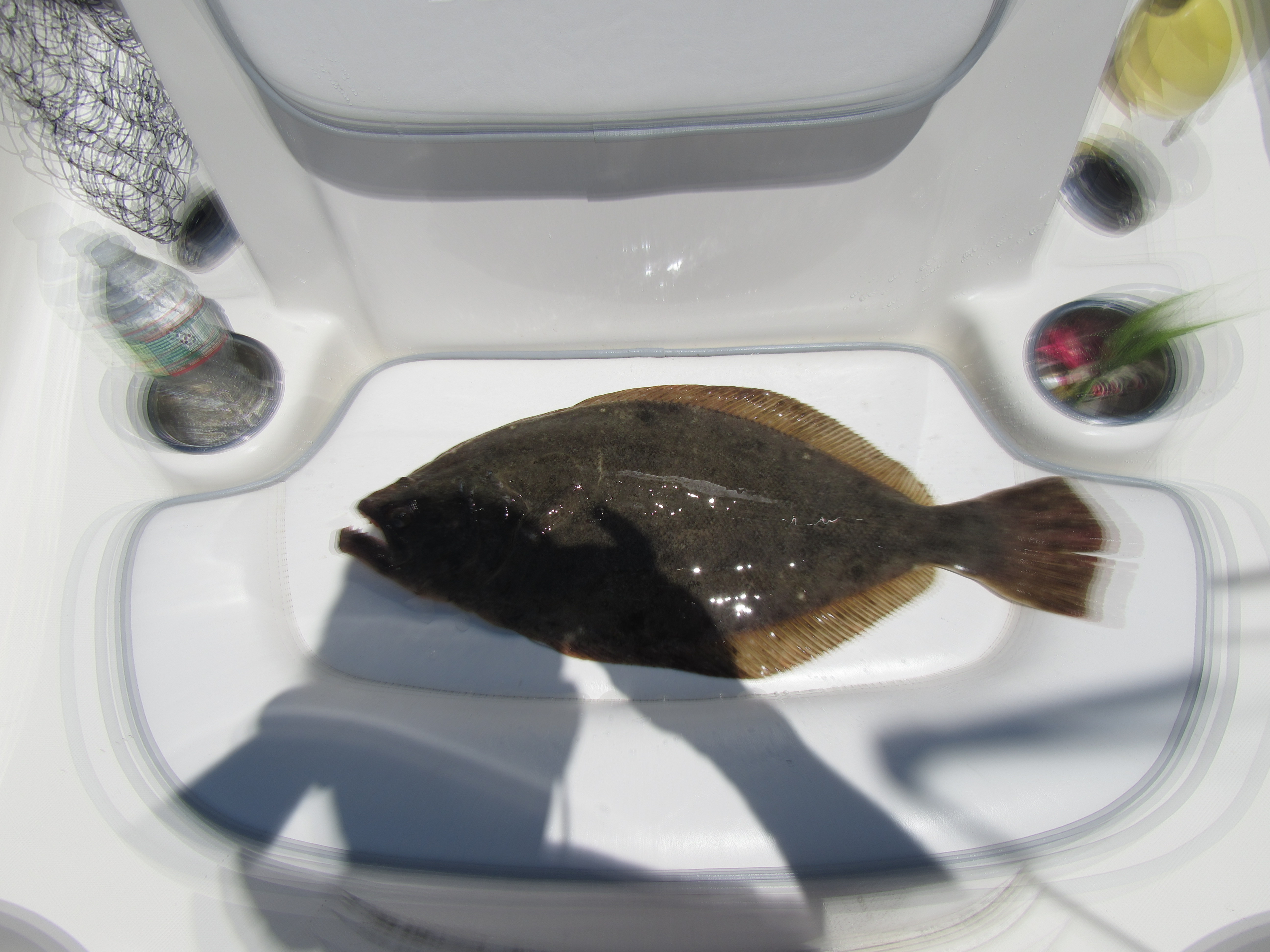 Fluke & Flies by Dave Spendiff