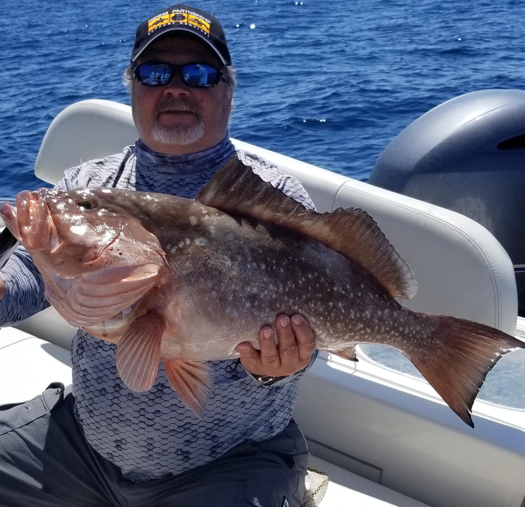 Grouper Fishing in Florida by Jeff Barnhart
